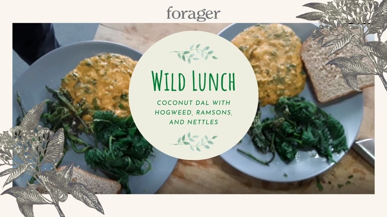 Wild Lunch with Hogweed, Ramsons, and Nettles