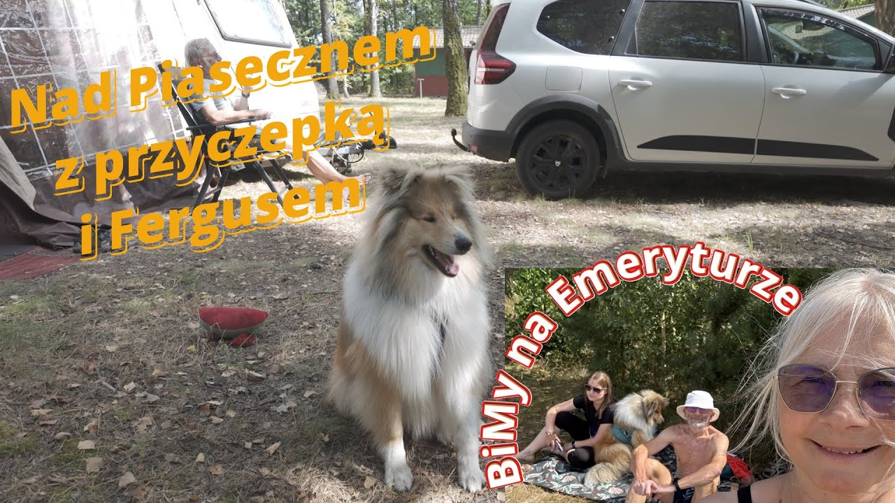 BiMy 29 Nad Piaseczno z przyczepką i Fergusem