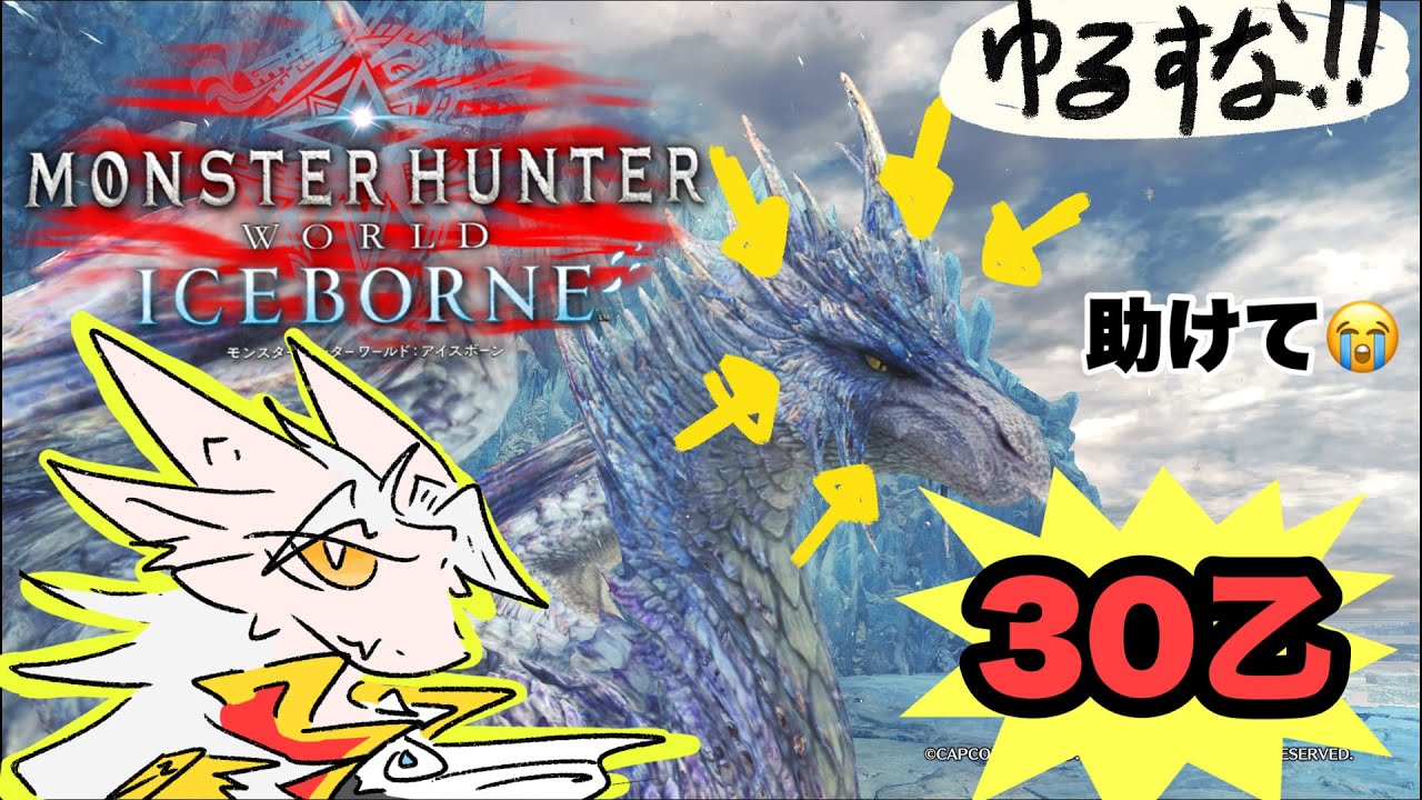 【ドラゴンv】30乙ハンターによるイヴェルカーナ再々々リベンジ編 【MHWI】Help！😭