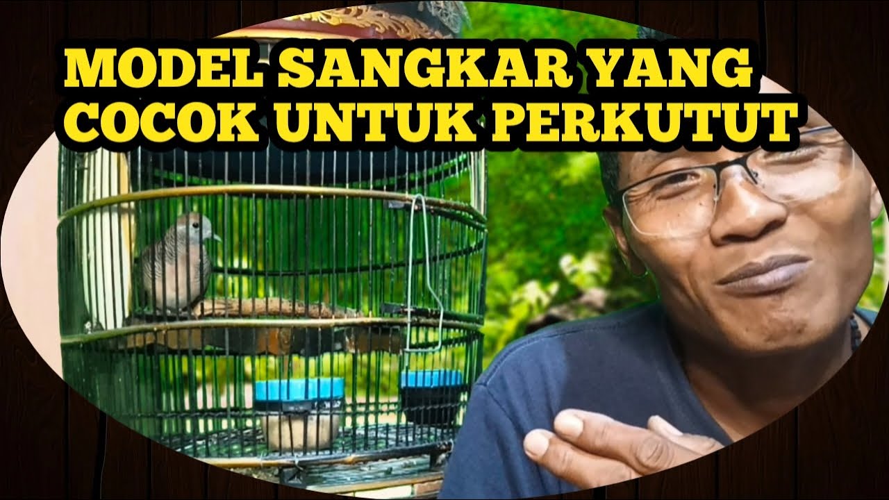 Sangkar yang cocok untuk burung perkutut