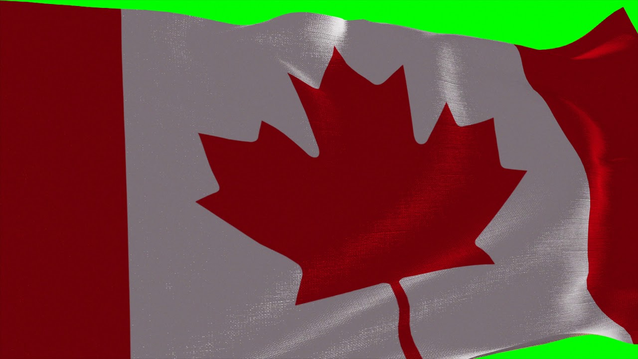 Canada flag green screen - Chroma Key - No Copyright