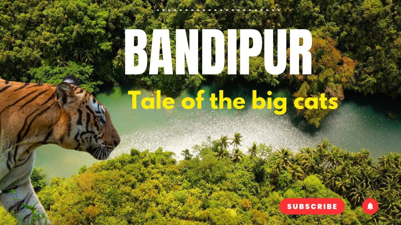 Bandipur | Tale of Big Cats | # 02 | Full official Video | Call Of The Jungle