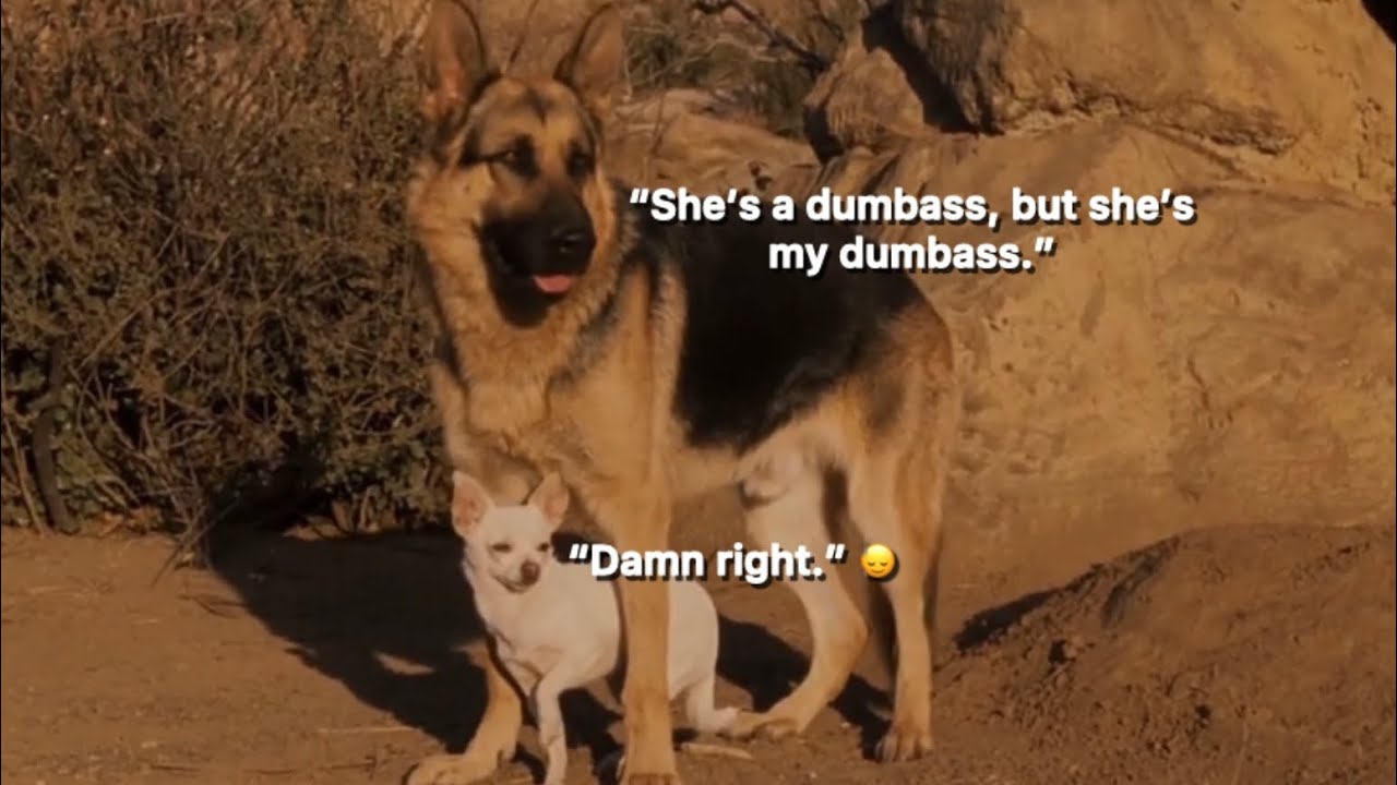 Chloe and Delgado being an underrated duo
