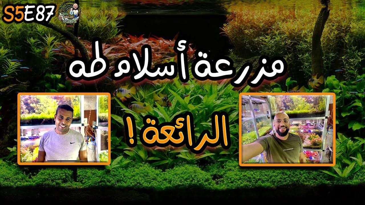 S5E87 - مزرعة أسلام طه الرائعة !
