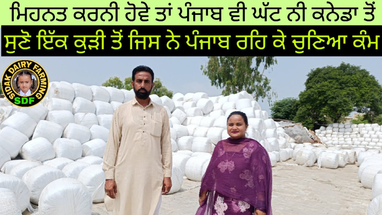ਪ੍ਰਭਸਿਮਰਨ ਸਾਈਲੇਜ ਪਲਾਂਟ ਪਿੰਡ ਮਾਹਲਾ ਖੁਰਦ ਤੋਂ ਖਰੀਦੋ ਮੱਕੀ ਦਾ ਅਚਾਰ, Prabhsimran Silage Plant, Dist Moga