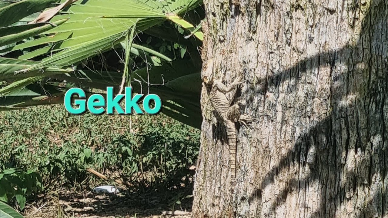Sunnuntai, ensimmäinen lomapäivä Rodoksella☀️