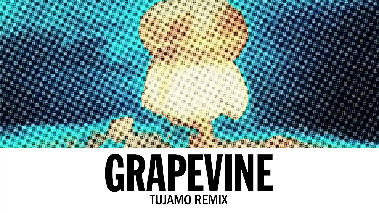 Ti&euml;sto - Grapevine (Tujamo Remix)