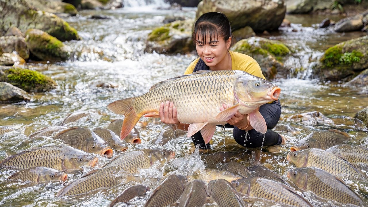 Catching Giant Carp Fish - Use Truck Transport Many Giant Fish to Sell at Market