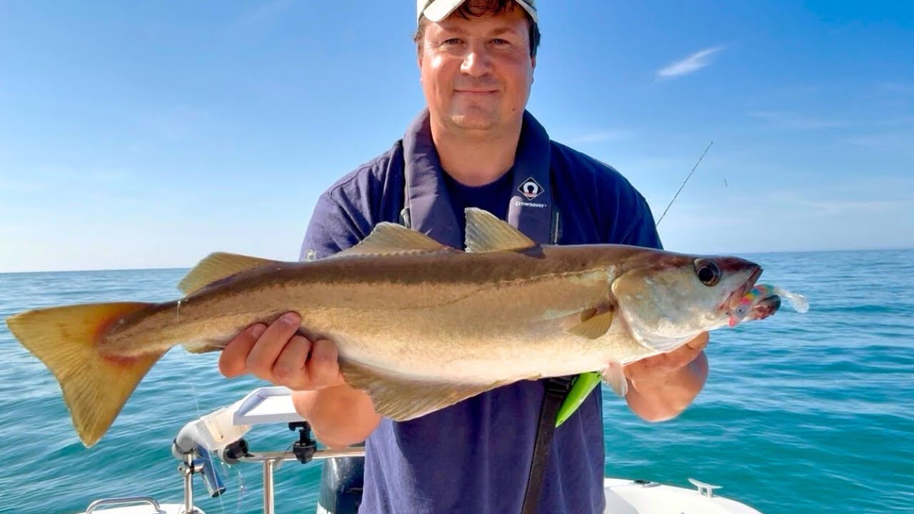 Lures & Jigs Did the Trick! Solo Wrecking for Pollack & Codling