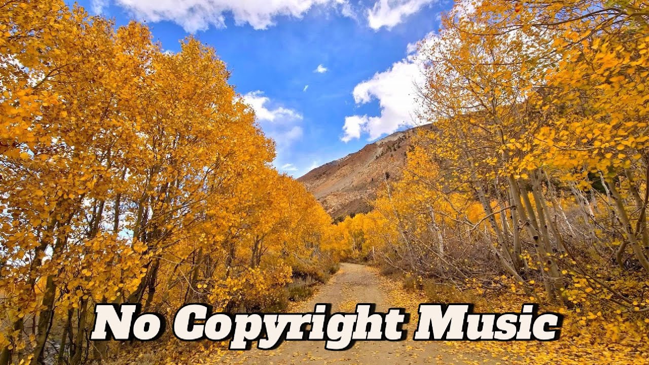 Autumn Falling Leaves - No Copyright Music