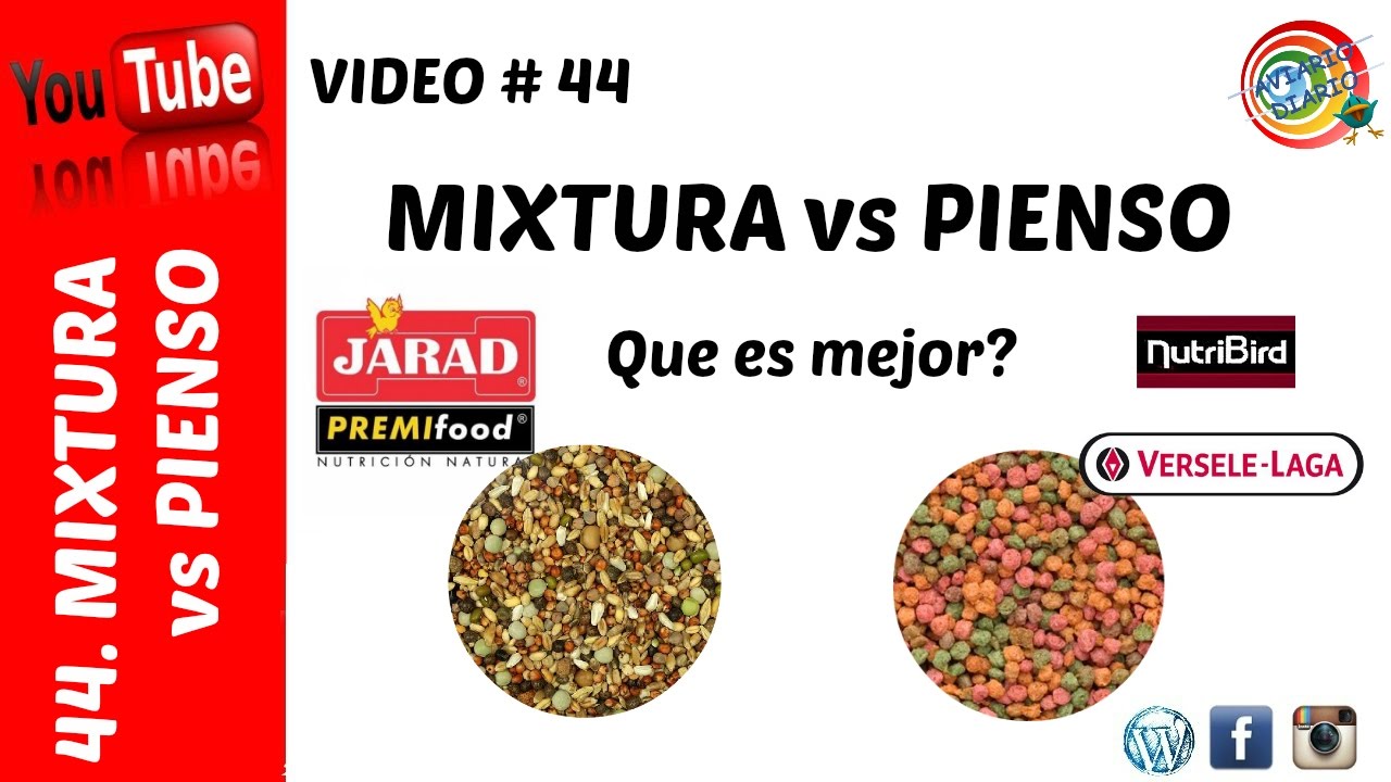 Mixtura vs Pienso extrusionado: Que es mejor?