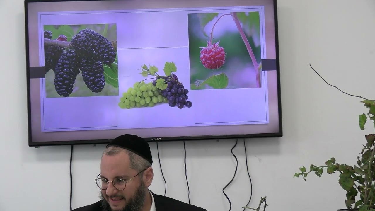 שיעור סוגית הסנה פטל קדושלעילוי נשמת נתן סטיין בן פנטייה