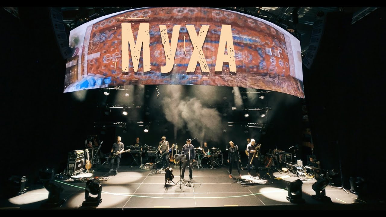 ДДТ &ndash; Муха