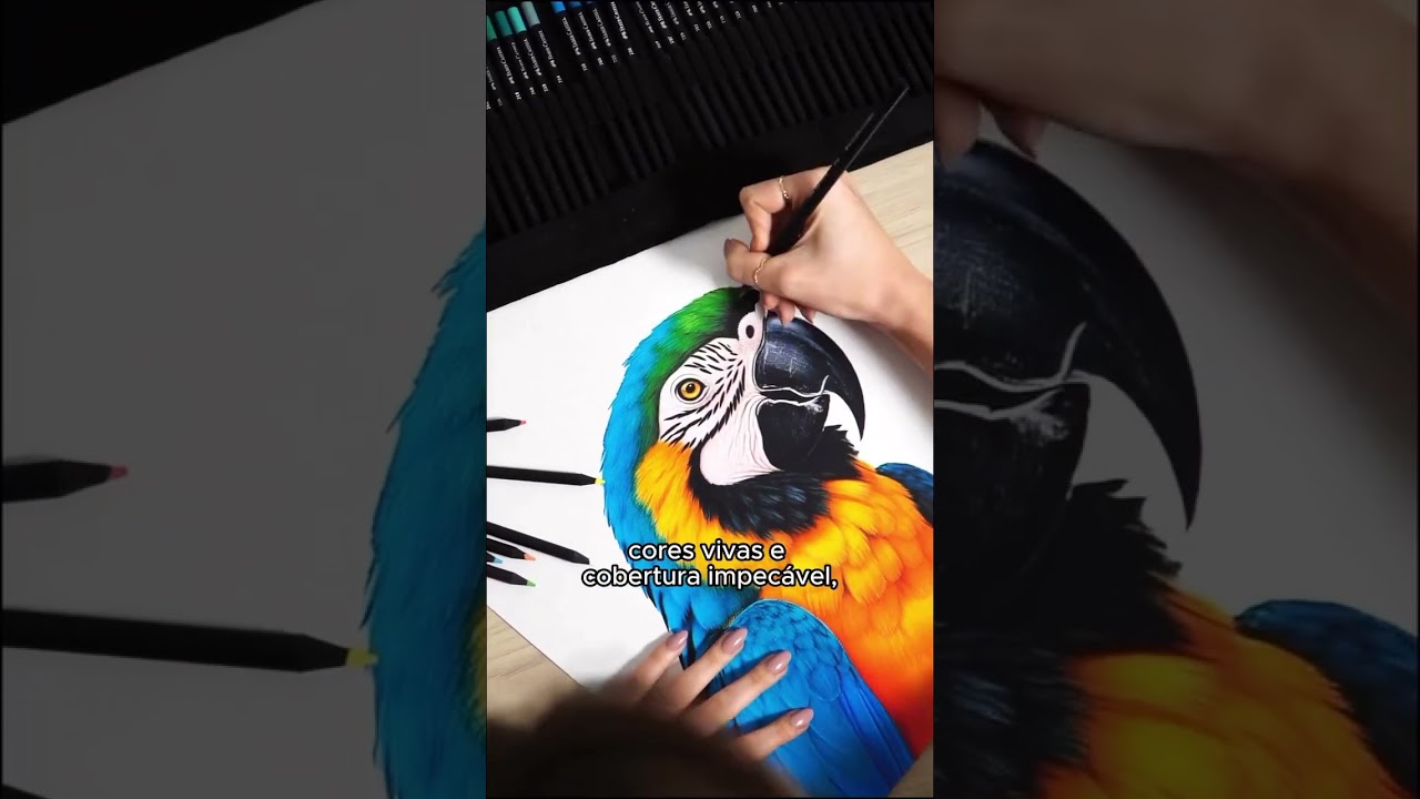Ecol&aacute;pis SuperSoft da Faber-Castell - Deixe sua criatividade florescer de forma ecol&oacute;gica