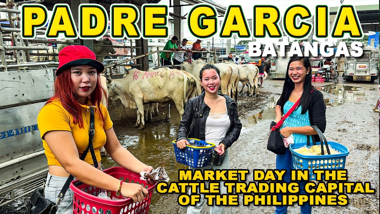 PADRE GARCIA BATANGAS | The Cattle Trading Capital of the Philippines | Market Day in Full Action