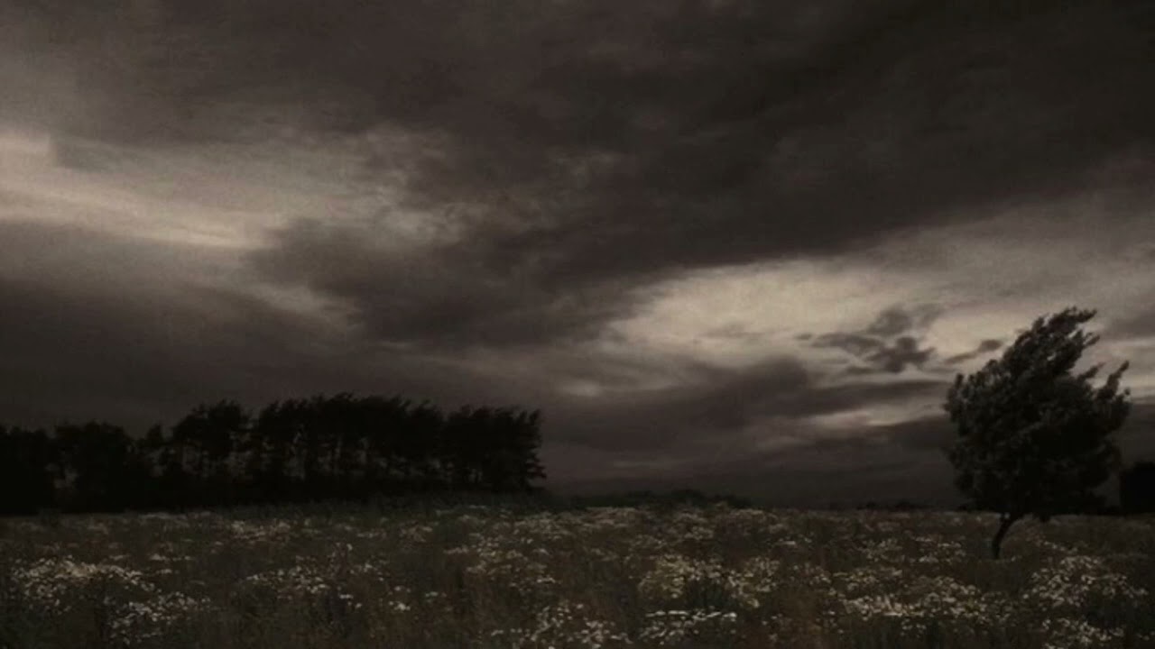 Kate Bush - Blow Away(for Bill) Slowed & Reverb