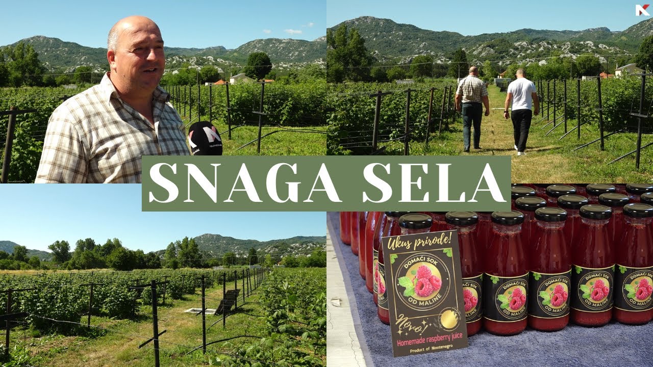 SNAGA SELA: Radovan Vučković - Grahovo 13.07.2025.