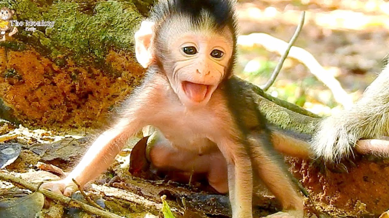 Mummy let me go, Poor baby Cinn cry much angry mom not allow her to walk, Cinn feeling so upset