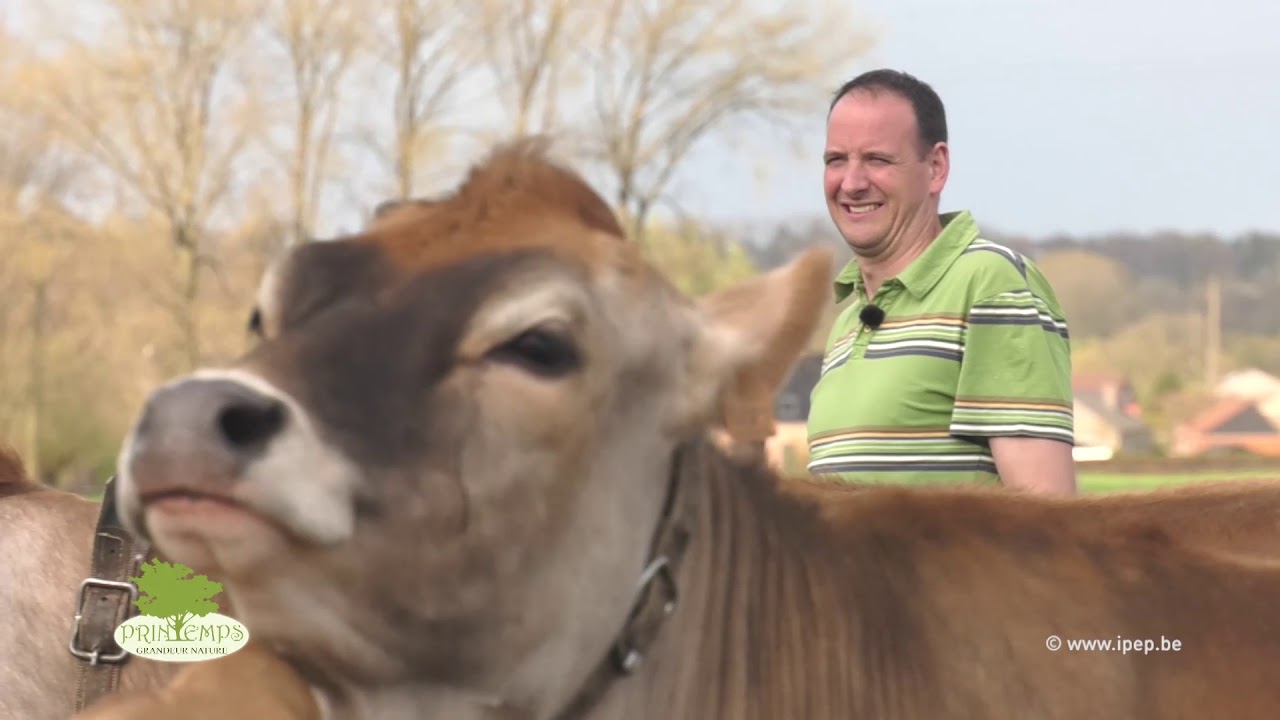 Un agriculteur Fairebel à Ollignies, en province du Hainaut