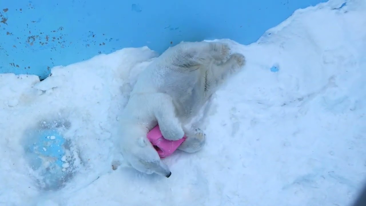 凹みを活かす
