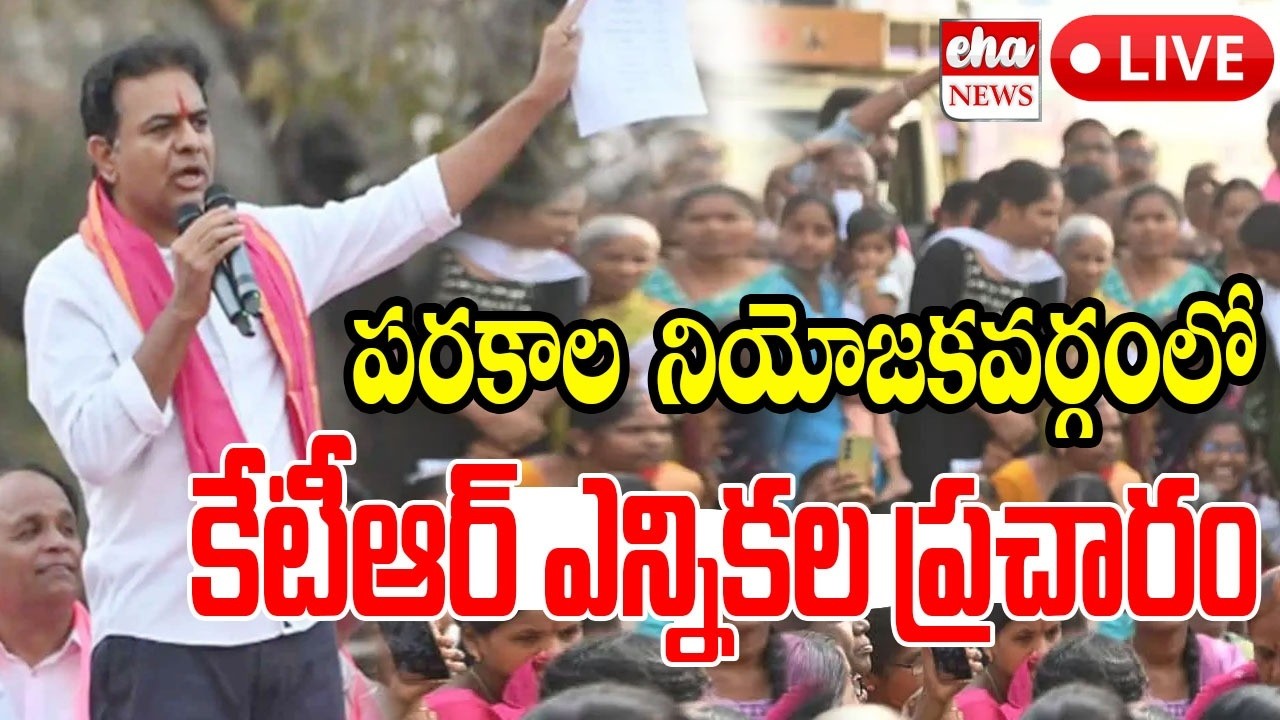 KTR Live : Municipal Election Campaign In Parkal Constituency | Eha News