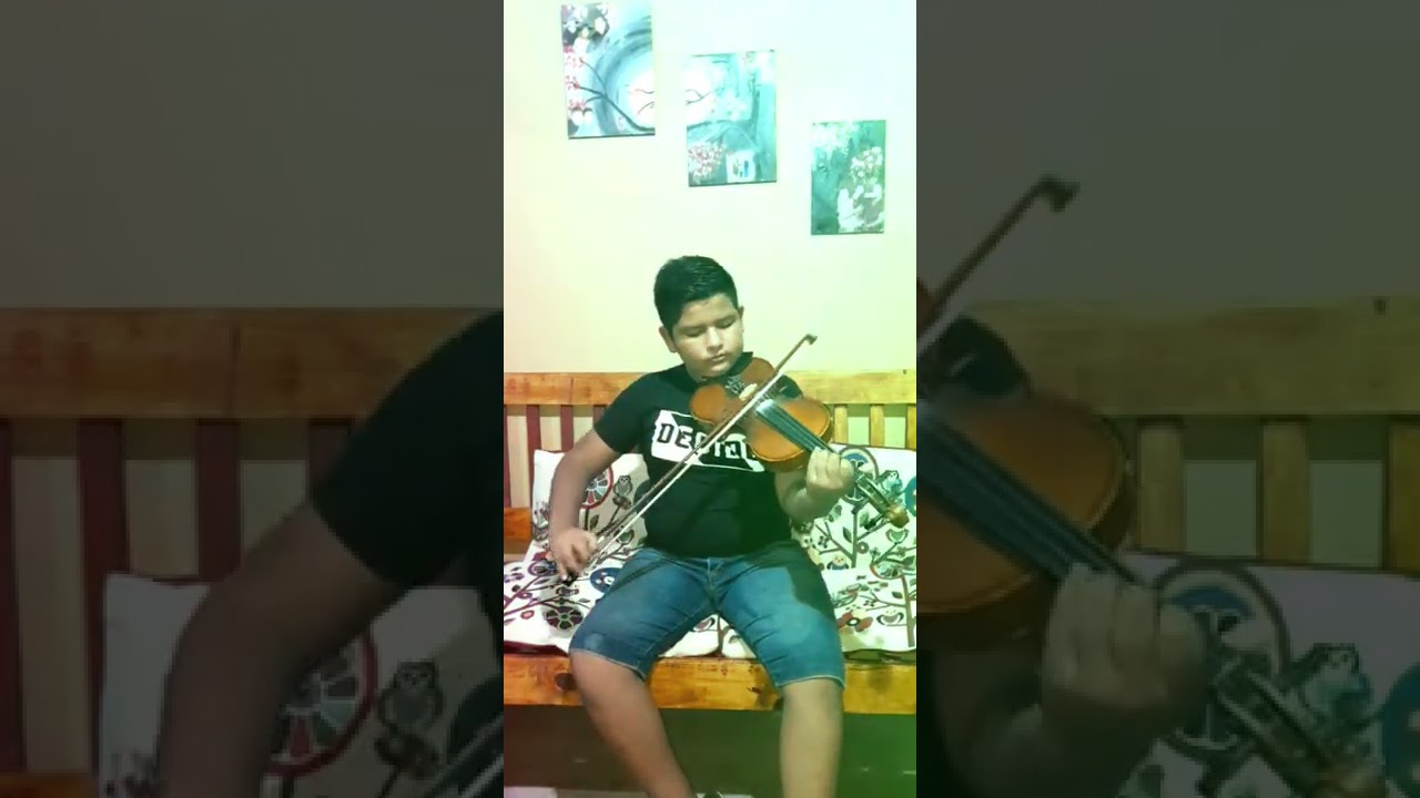 Pampa de los Guanacos / El Pintao     Benjamin Bellido y su violín 🎻