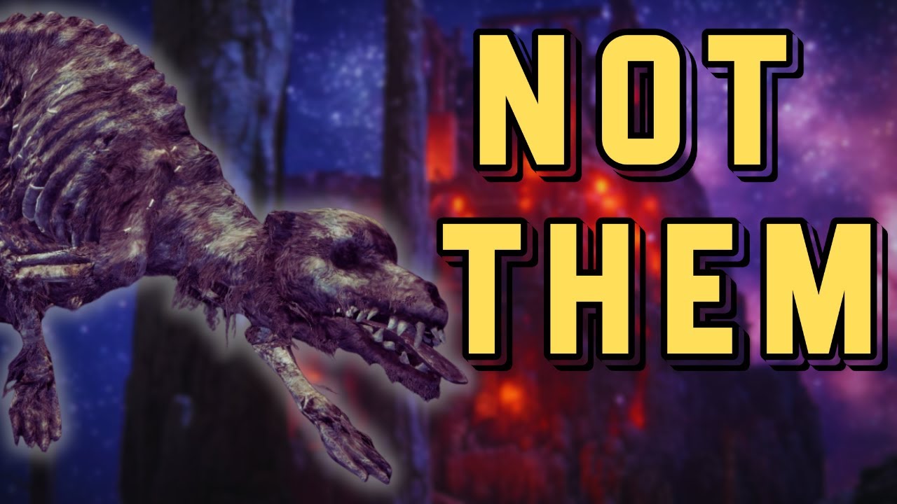 Every Soulsborne dog ranked by how much they ruined my life