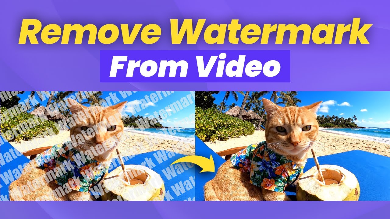 3 Methods|  How to Remove Watermark from Video (FREE & Easy)