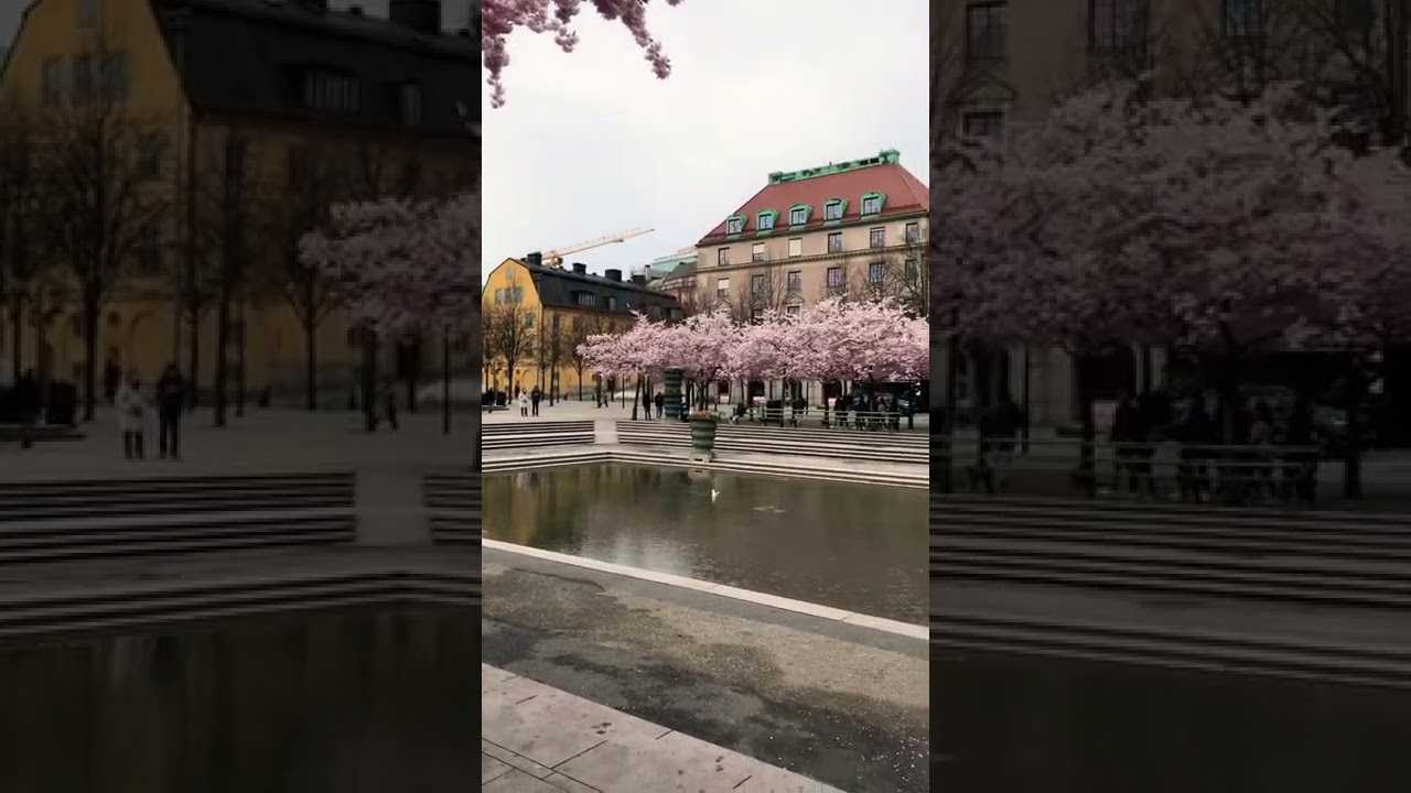 King&rsquo;s garden | Sweden