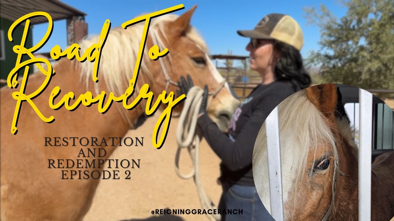 Hope and Healing Barn: Episode 2: Liberty