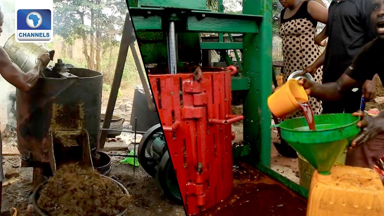 Community Report On Nigeria’s Palm Oil Shortage