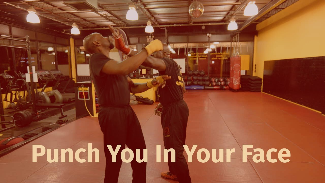 Punch You In Your Face - Self Defence Techniques