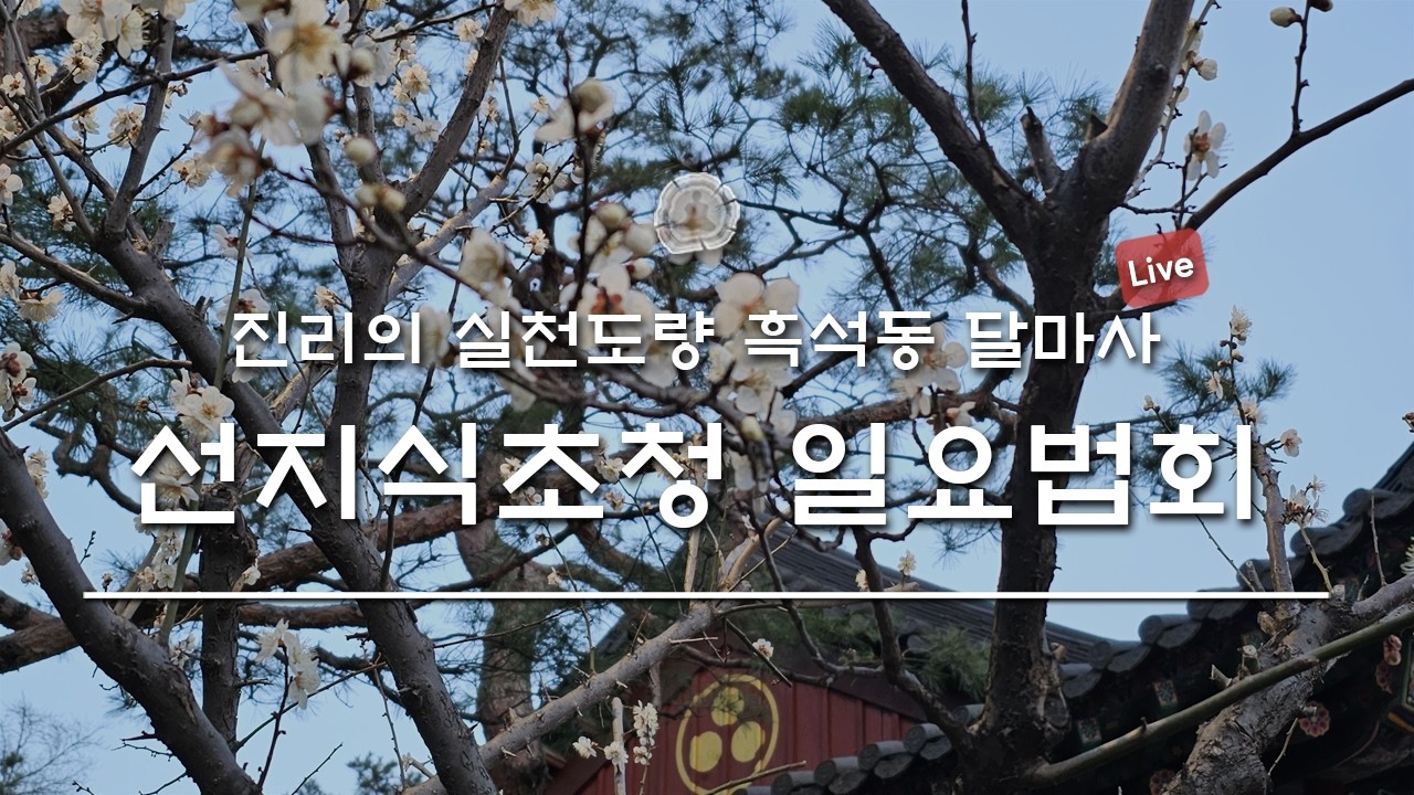 [진리의 실천도량 달마사]  2월 15일 일요법회(선지식 초청법문)