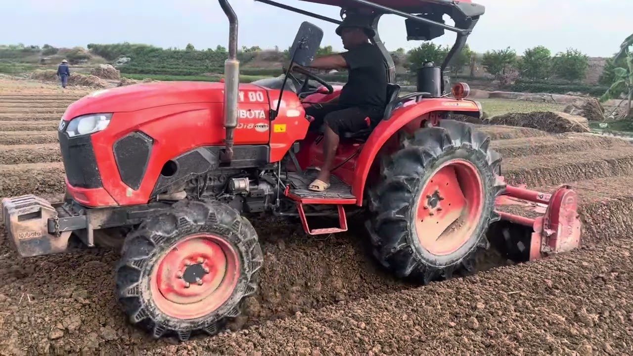 ( Cười Rớt Hàm) Hỏi Cụ Ông 70 tuổi Giá Ép Luống Đất Trồng Hành Tại Hải Dương 0982365915