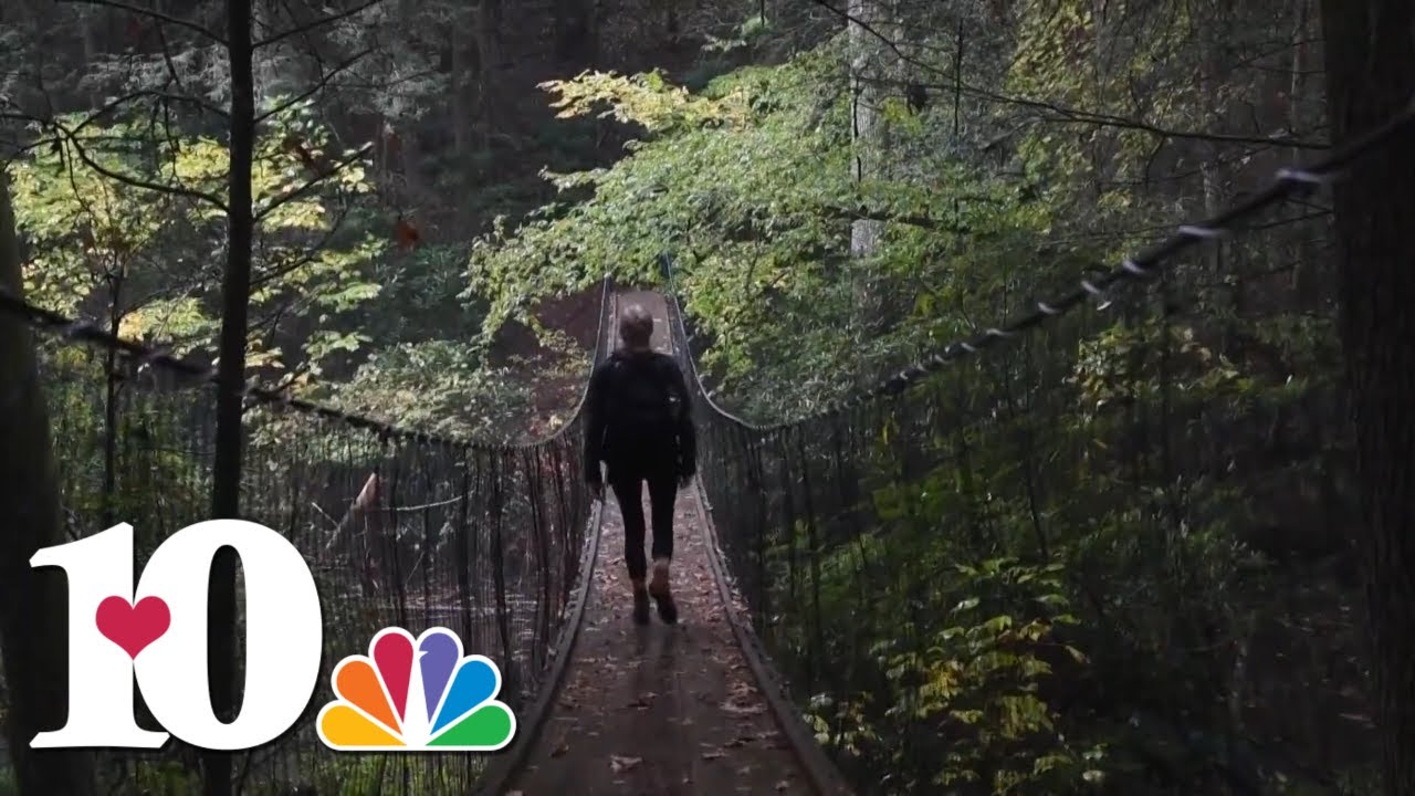 3 fall hikes to try in Cumberland County, Tennessee | 10Explores