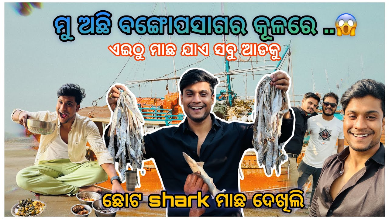 ମୁ ଅଛି ବଙ୍ଗୋପସାଗର କୂଳରେ 🌊 || ଛୋଟ shark ⛴️⛴️ || @pradoslifestyle 🤳🤳