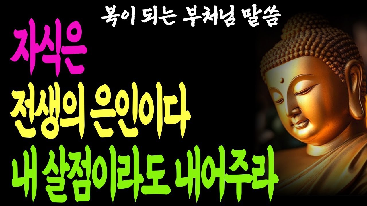 자식은 내 전생의 은인이다. 내가 자식에게  다 내어줘도 후회 없는 이유#석가모니 명언 #인생조언#부처님말씀 #부모와자식 #부모