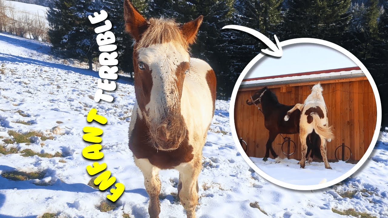 BONNE NOUVELLE (OU PAS) 🎁
