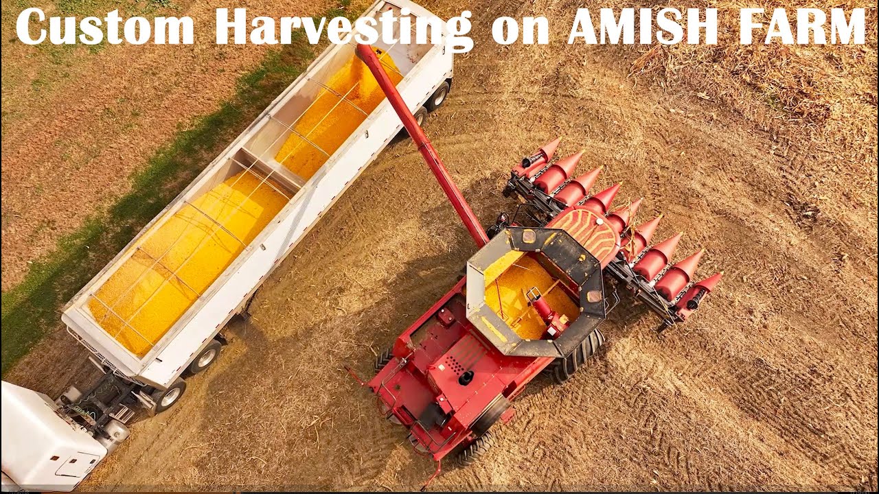 AMISH Are NOT AGAINST MODERNITY---Custom Harvesting an AMISHMAN'S Crops