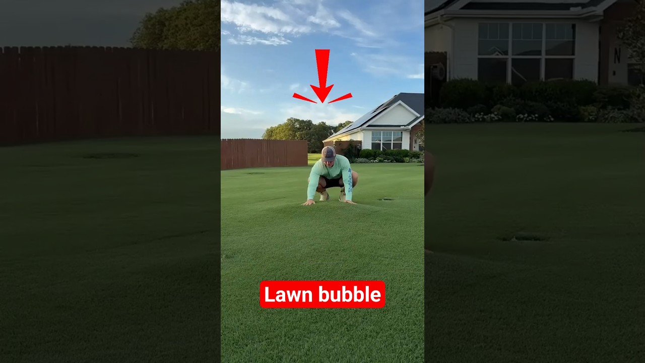Why You Should NEVER Step on This Grass Bubble! 🚫