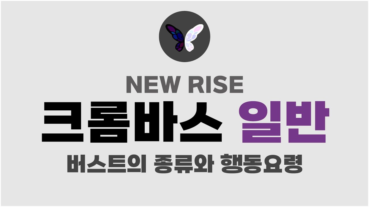 크롬바스 일반 난이도ㅣ버스트 공략 (뉴 라이즈)