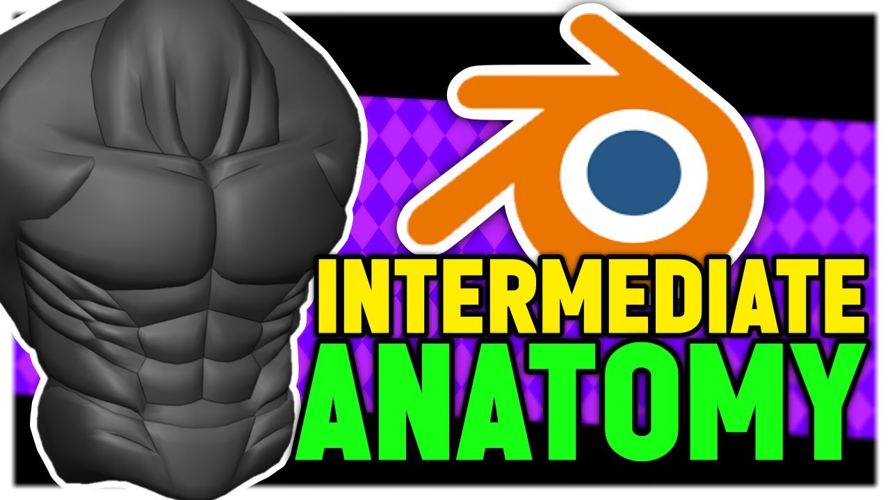 Modelling Anatomy | Roblox Blender