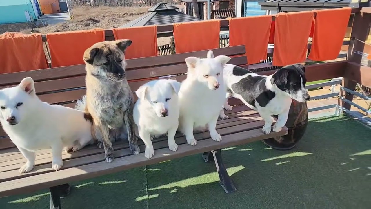 호빵가족 목욕후 