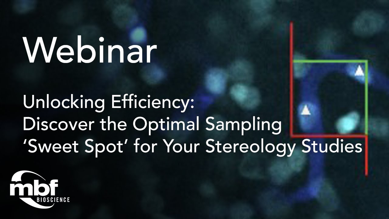 Webinar: Discover the Optimal Sampling 'Sweet Spot' for Your Stereology Studies