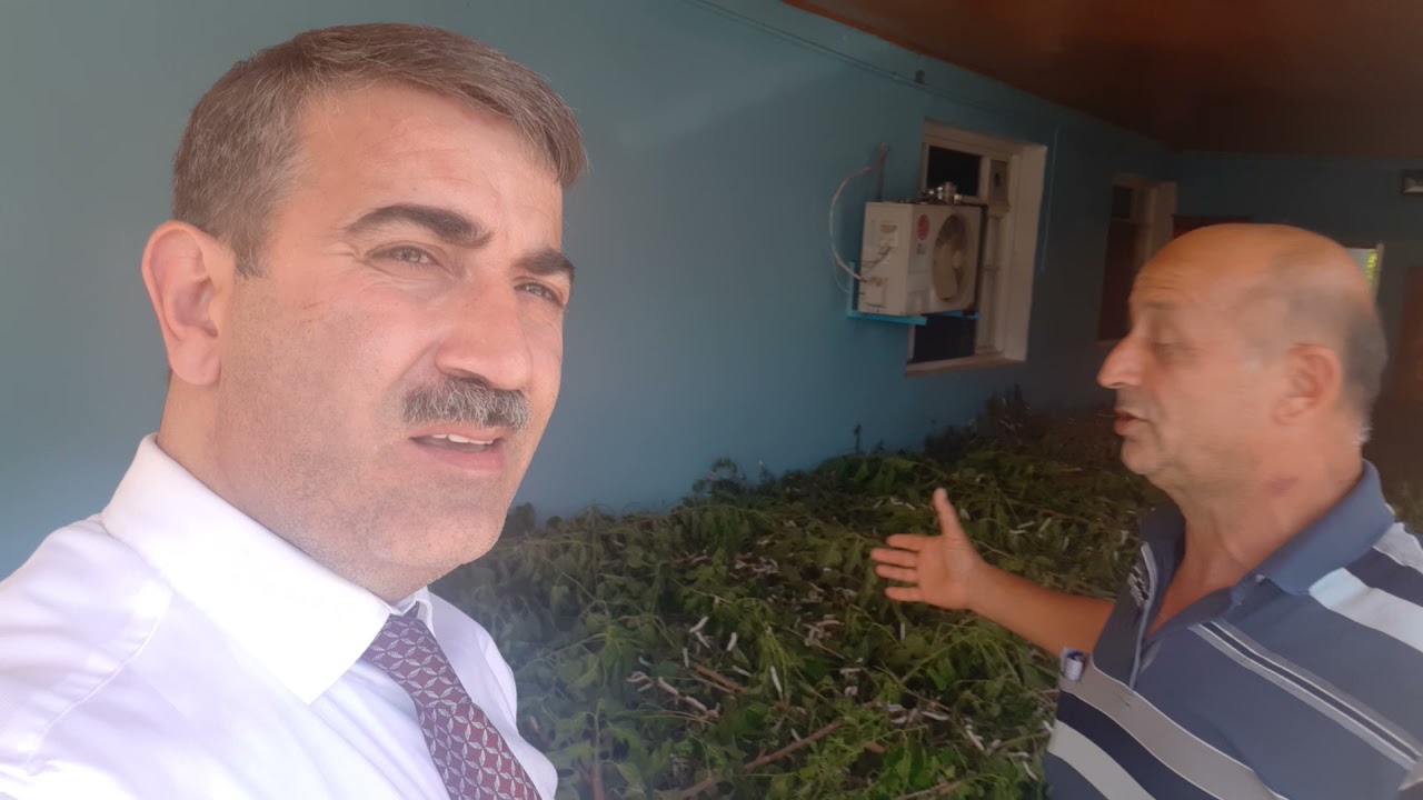 #Füzuli rayon #BöyükBəhmənli kənd Barama mövsümündə ziyana düşüblər kasıb kənd sakinləri.