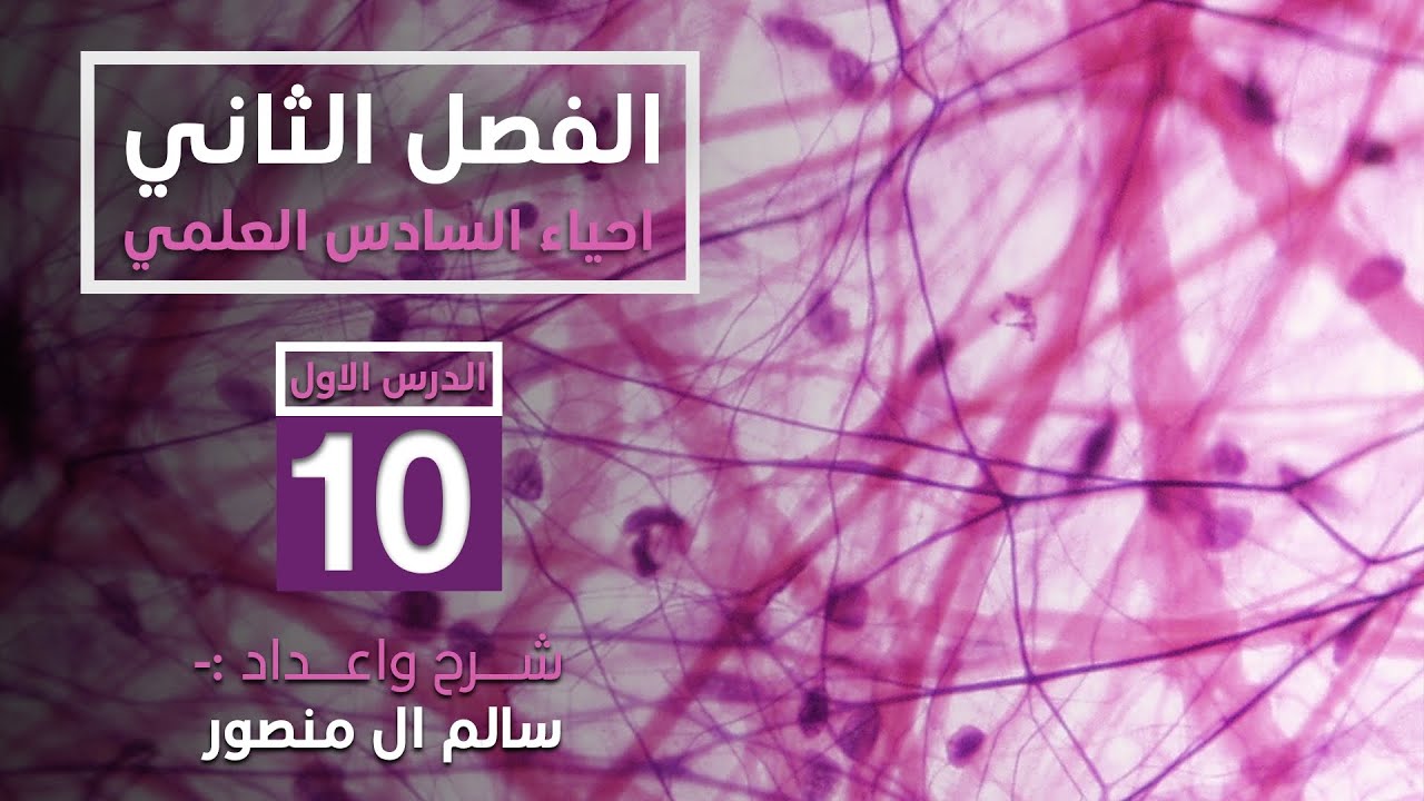 المحاضرة (10) | الصفيحات الدموية- بلازما الدم- اللمف.