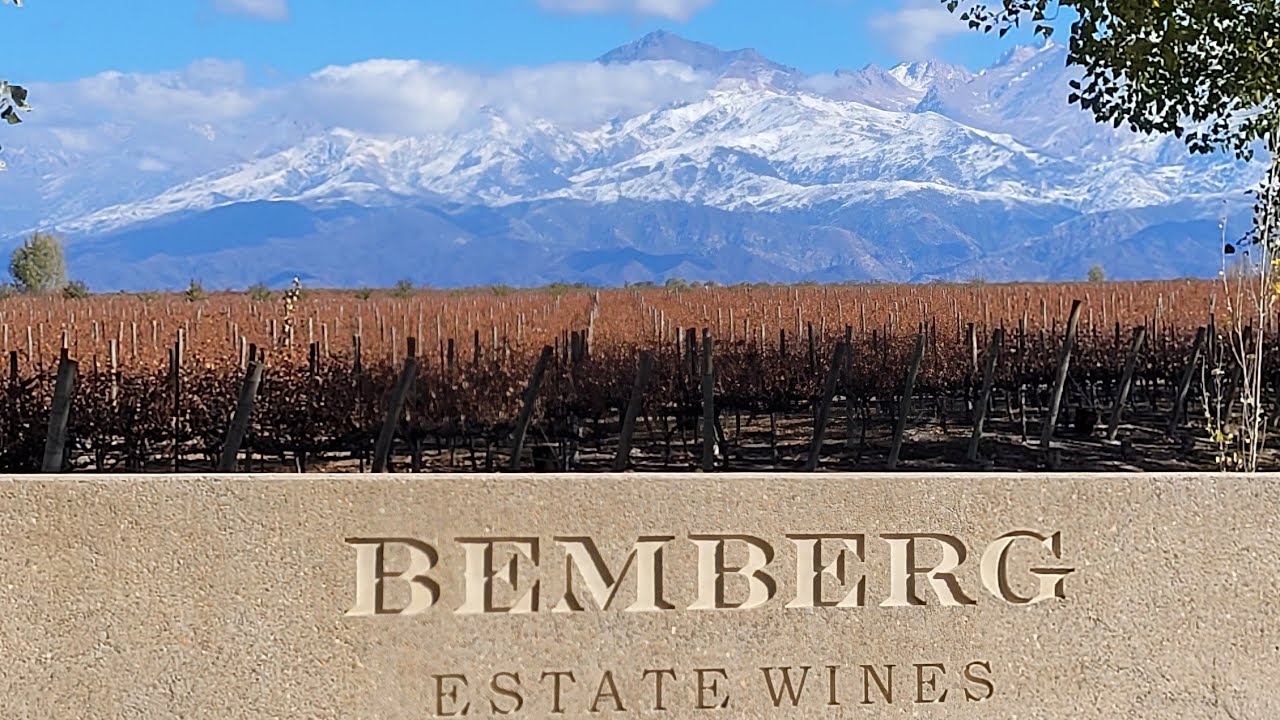 BEMBERG ESTATE WINE - GUALTALLARY - MENDOZA