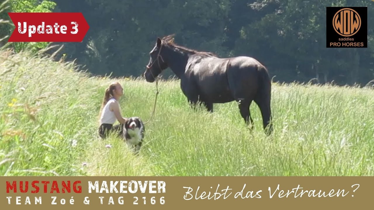 MUSTANG MAKEOVER 2022 - Wird das Vertrauen der beiden standhalten? | Team Zoé Update 3