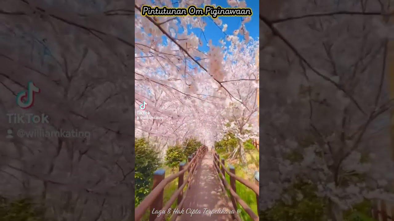 PINTUTUNAN OM PIGINAWAAN - Dusun Sabahan song composed by w_kating. 