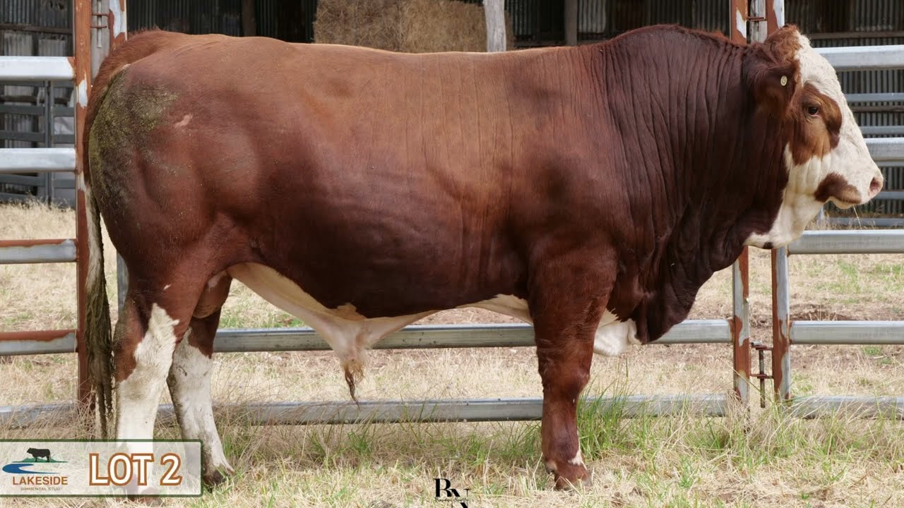 LOT 2